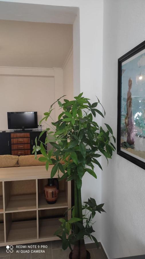 Casa Tia Pilar Villa Algodonales Dış mekan fotoğraf